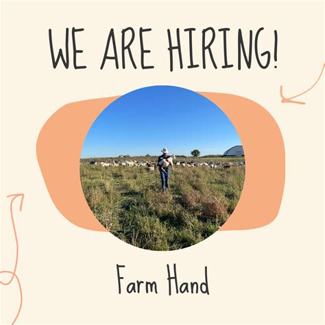 horse barns hiring near me|stable hand wanted near me.